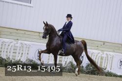 25R13_15495 proof