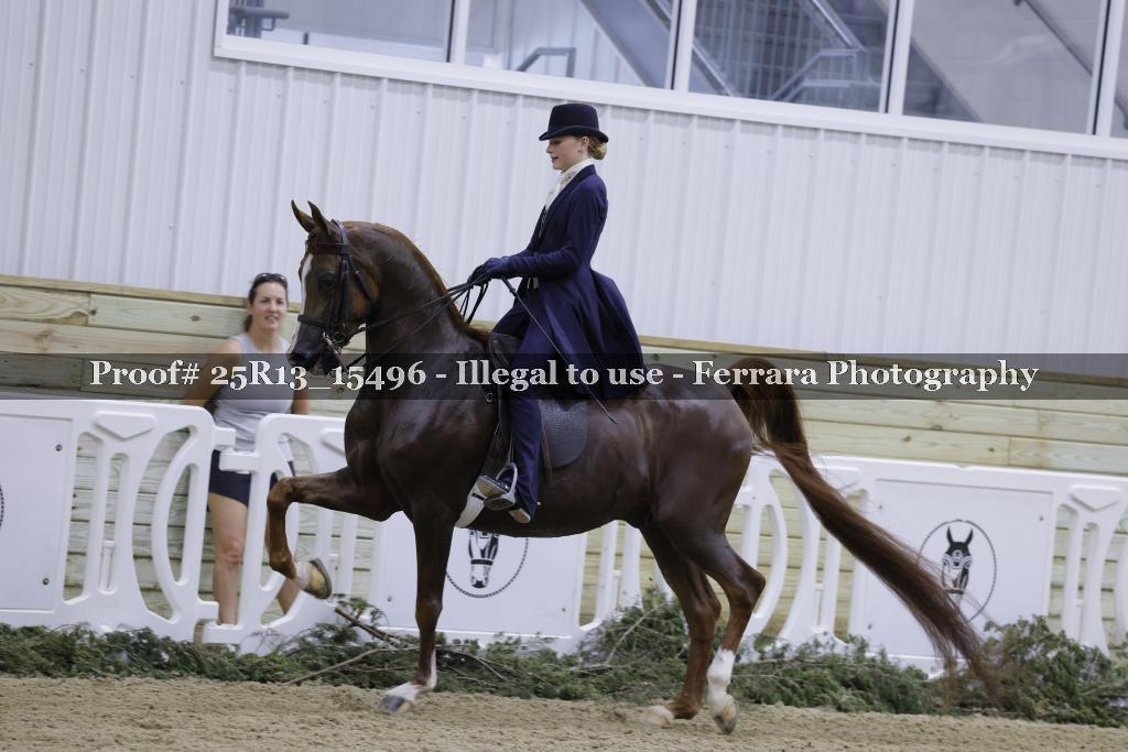 Proof 25R13_15496
