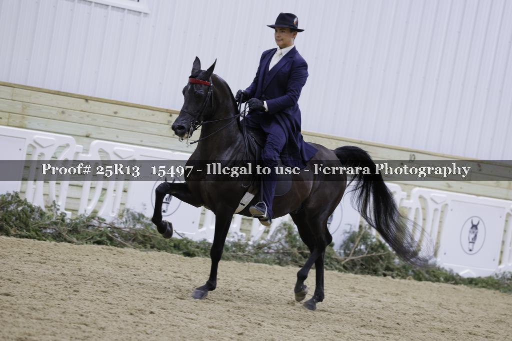 Proof 25R13_15497