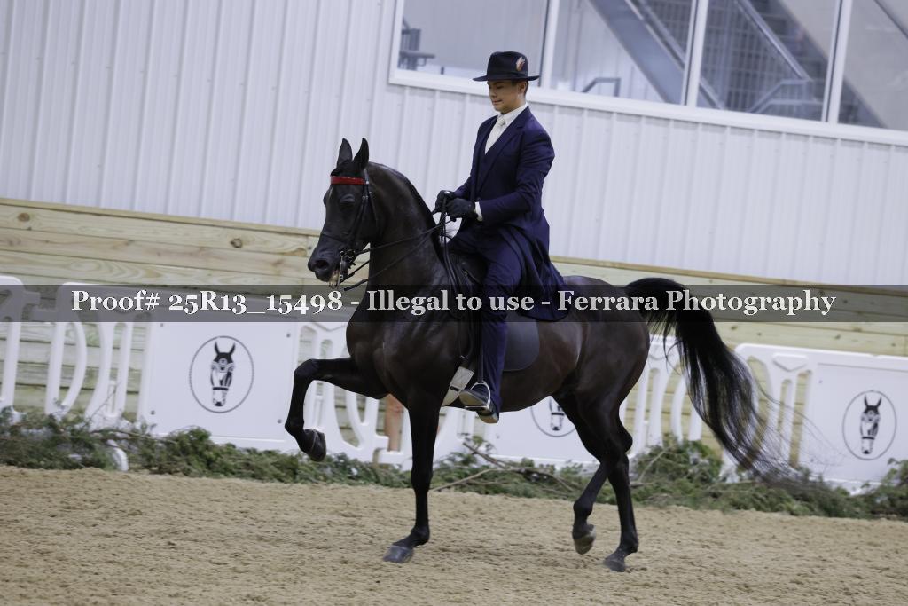 Proof 25R13_15498