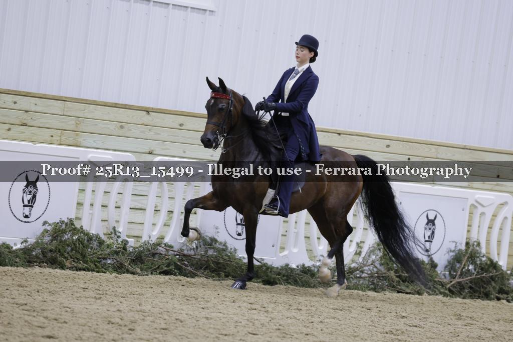 Proof 25R13_15499