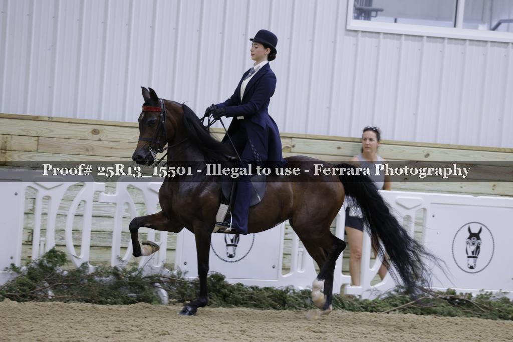 Proof 25R13_15501