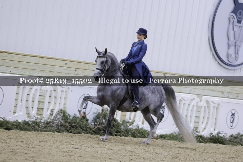 Proof 25R13_15502