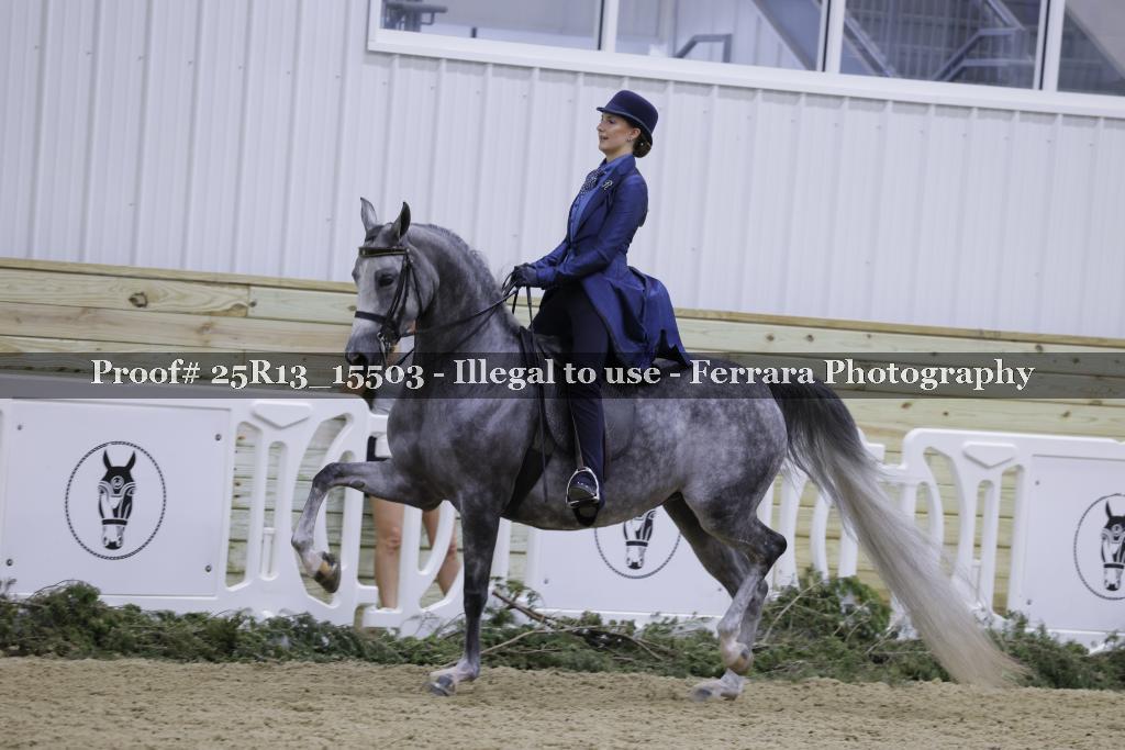 Proof 25R13_15503