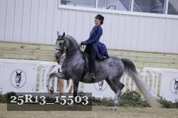 25R13_15503 proof