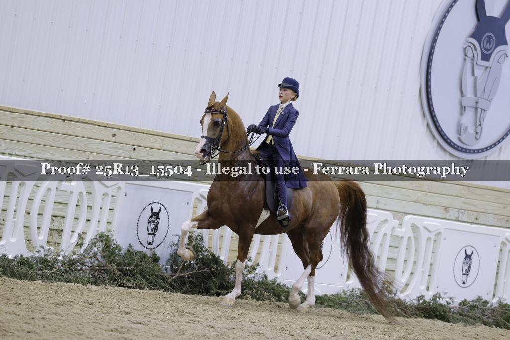 Proof 25R13_15504