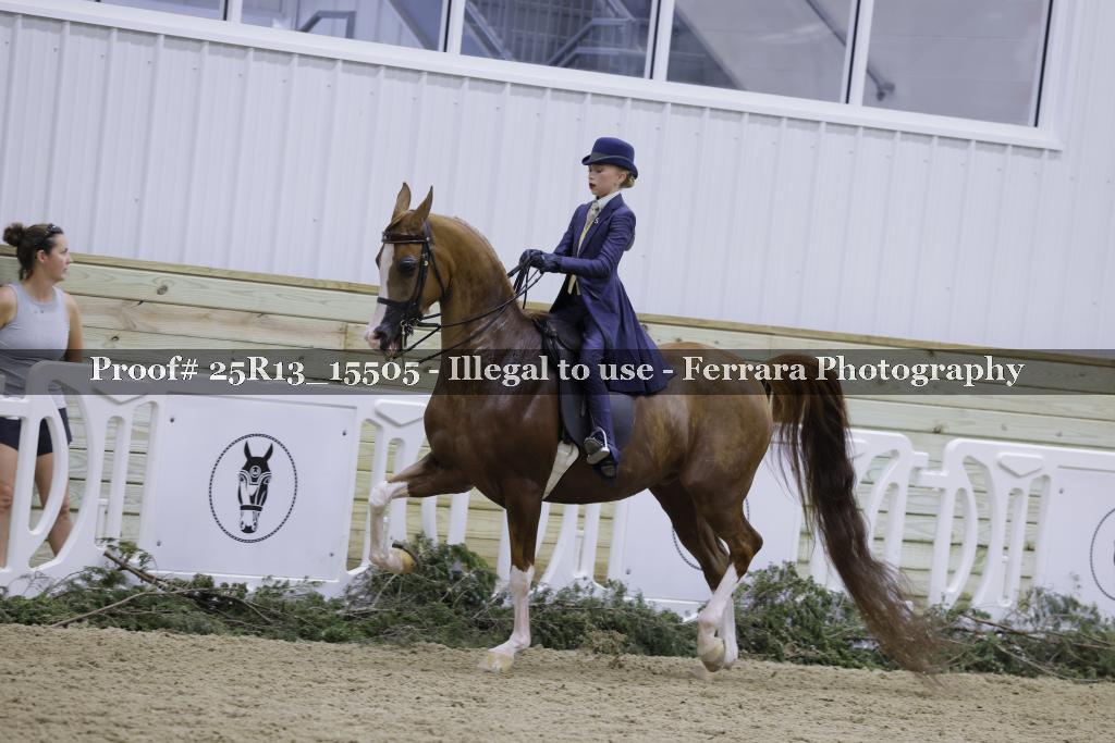 Proof 25R13_15505