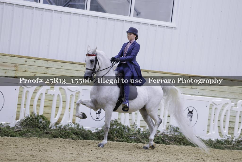 Proof 25R13_15506