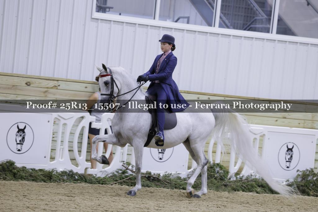 Proof 25R13_15507