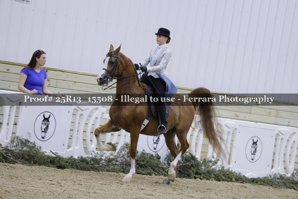 Proof 25R13_15508
