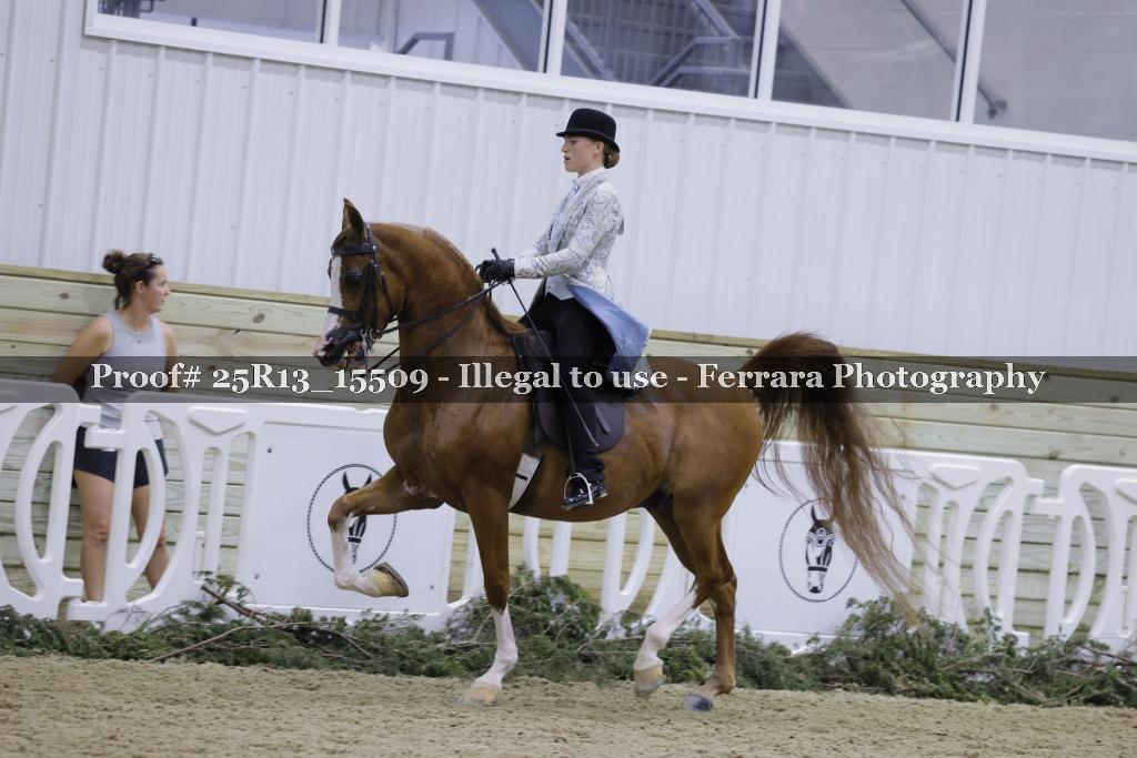 Proof 25R13_15509