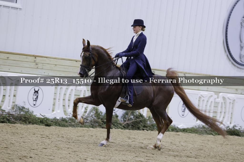Proof 25R13_15510