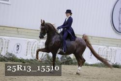 25R13_15510 proof