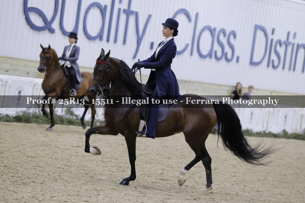 Proof 25R13_15511