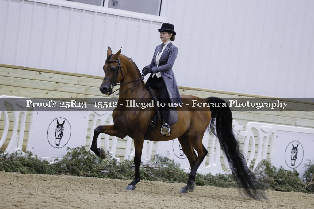 Proof 25R13_15512