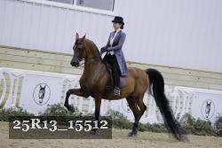 25R13_15512 proof