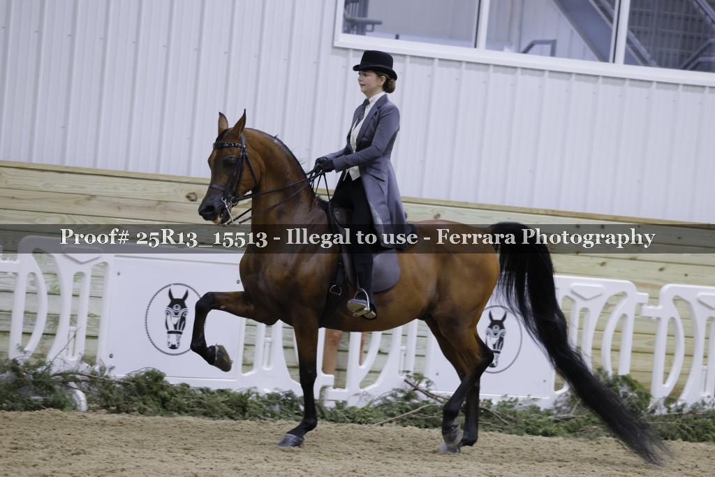 Proof 25R13_15513