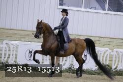 25R13_15513 proof