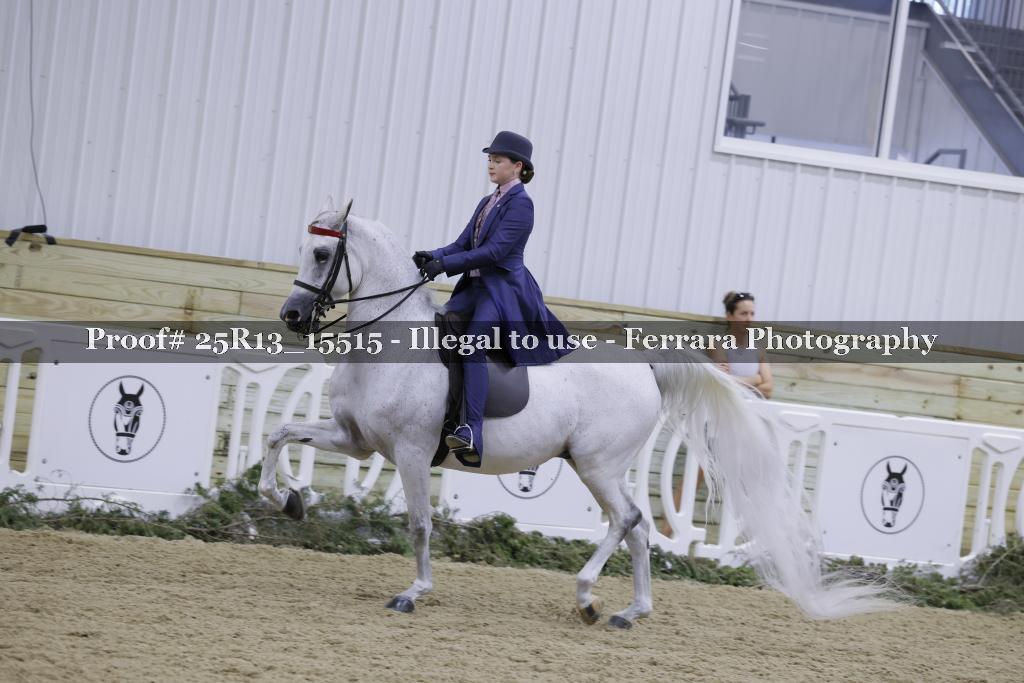 Proof 25R13_15515