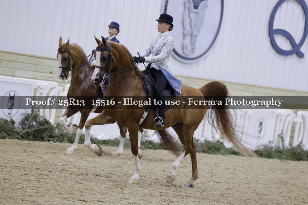Proof 25R13_15516