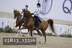 25R13_15516 proof