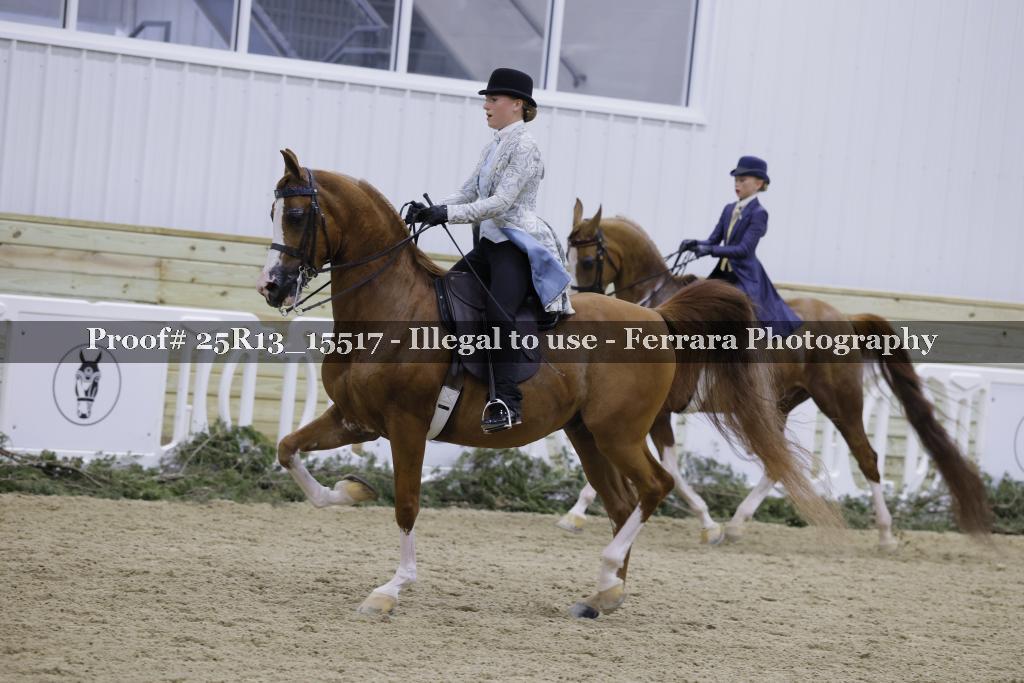 Proof 25R13_15517