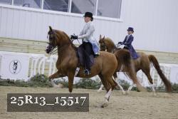 25R13_15517 proof