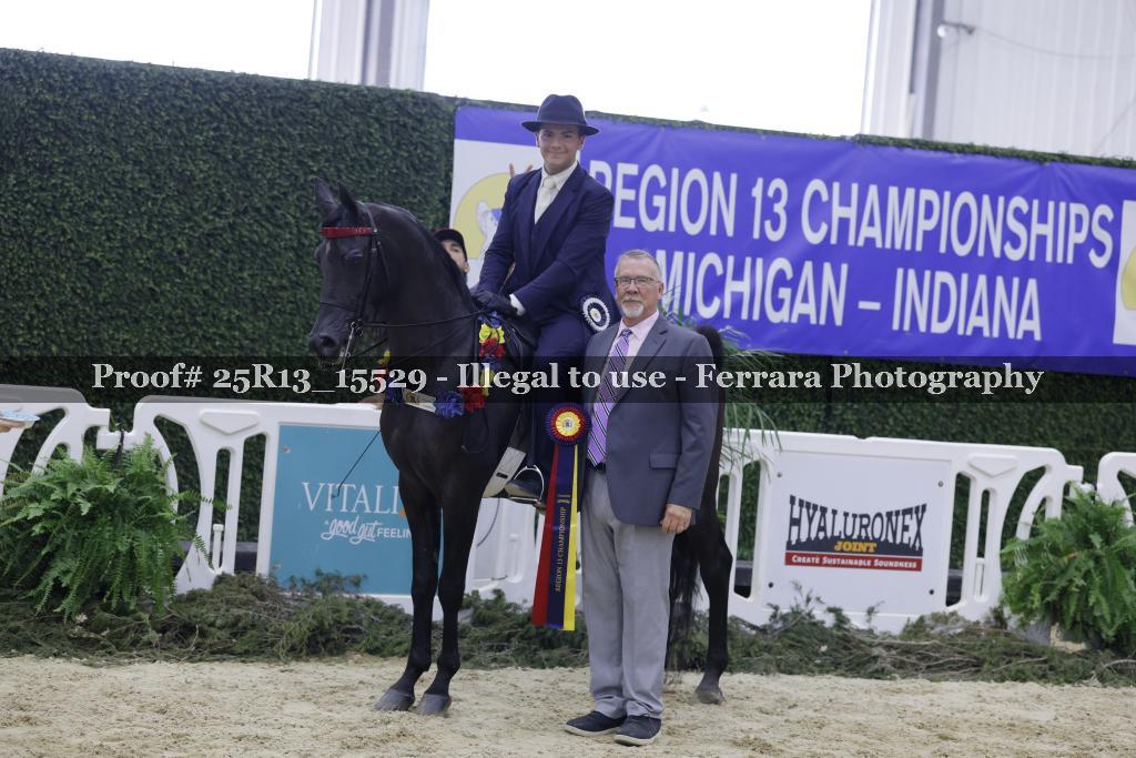Proof 25R13_15529