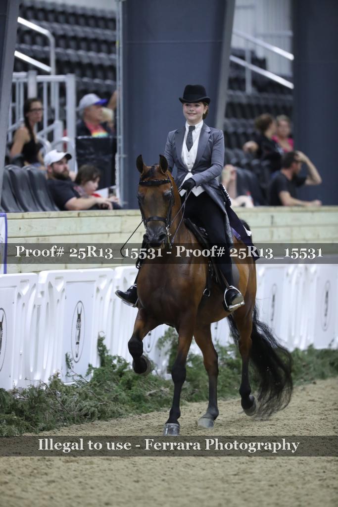 Proof 25R13_15531