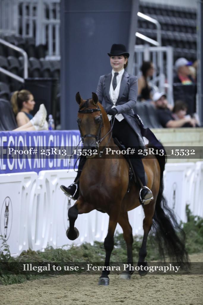 Proof 25R13_15532