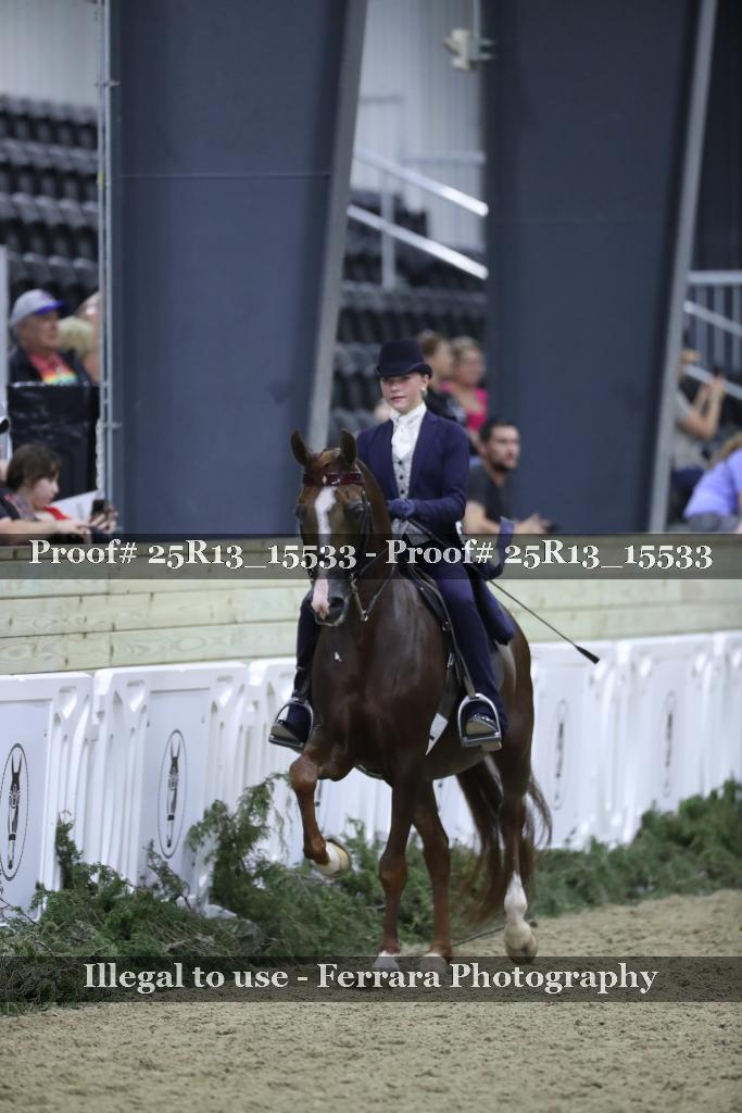 Proof 25R13_15533