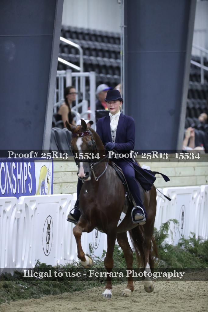 Proof 25R13_15534