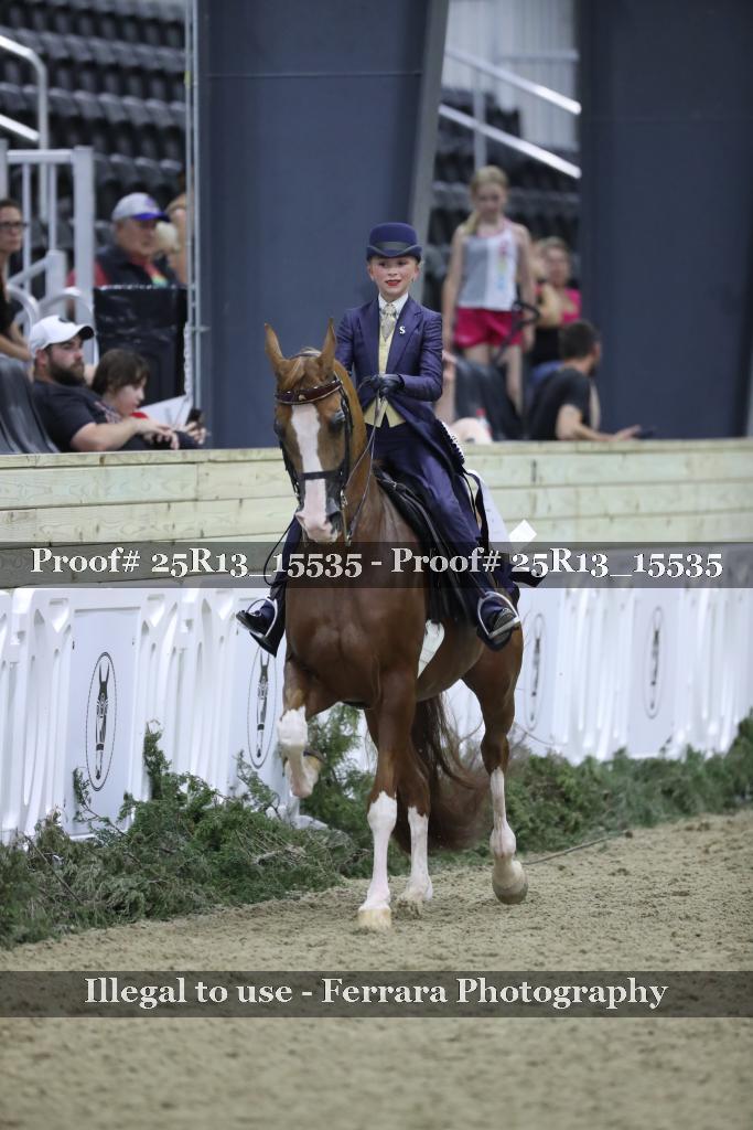 Proof 25R13_15535