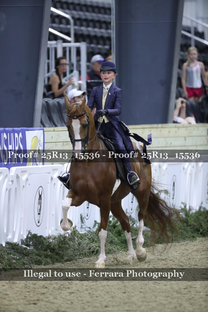 Proof 25R13_15536