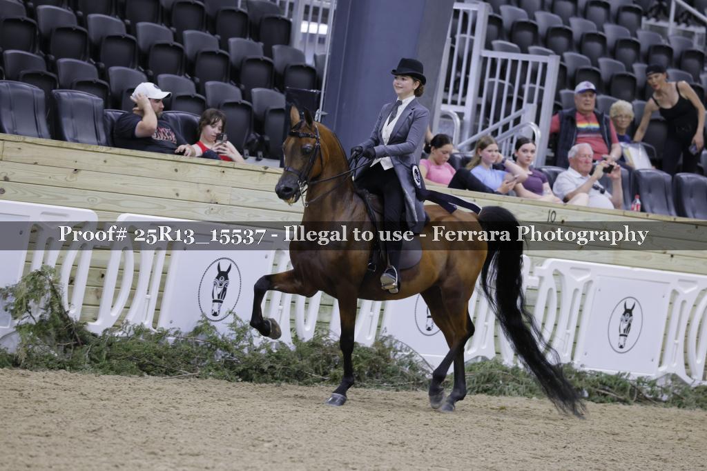 Proof 25R13_15537