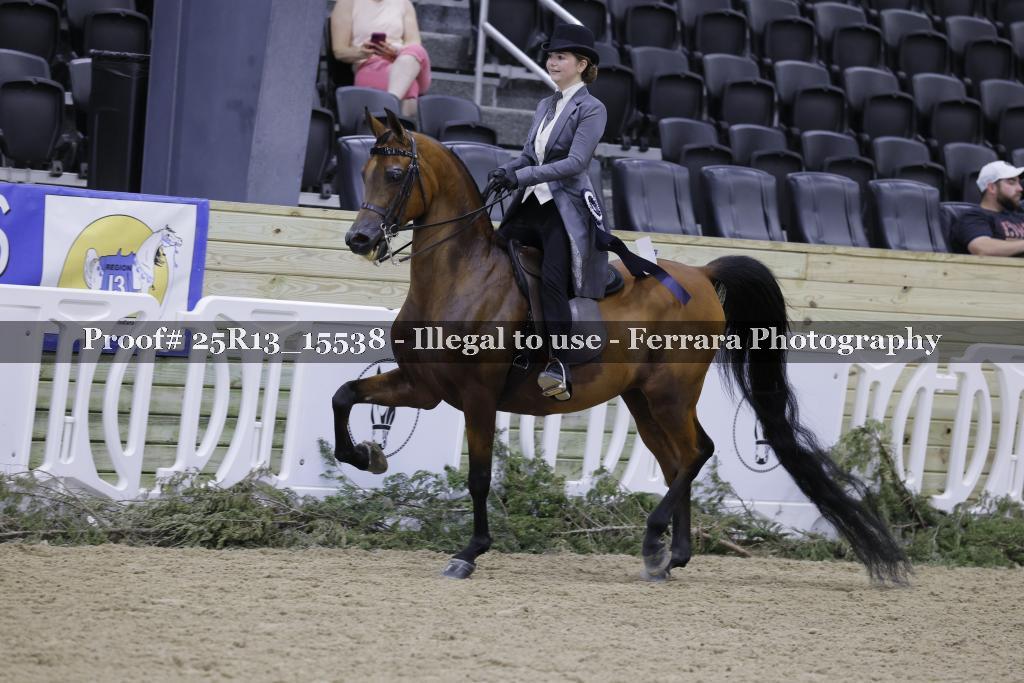 Proof 25R13_15538
