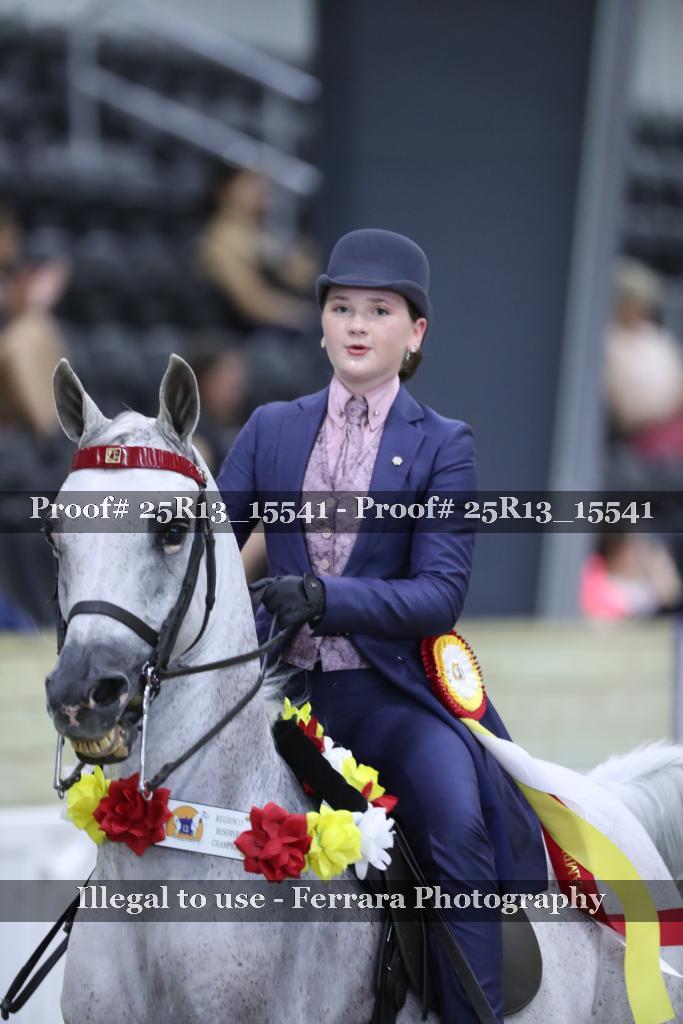 Proof 25R13_15541