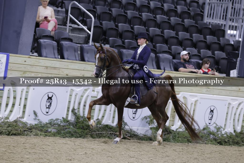 Proof 25R13_15542