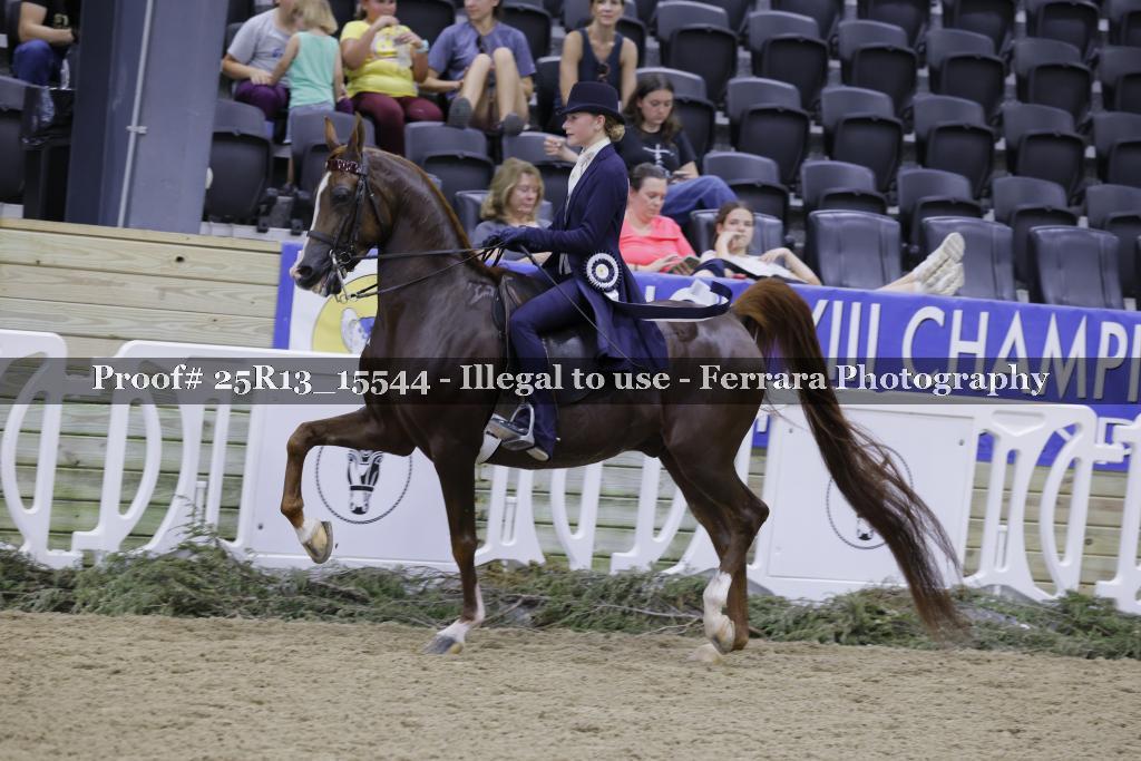 Proof 25R13_15544