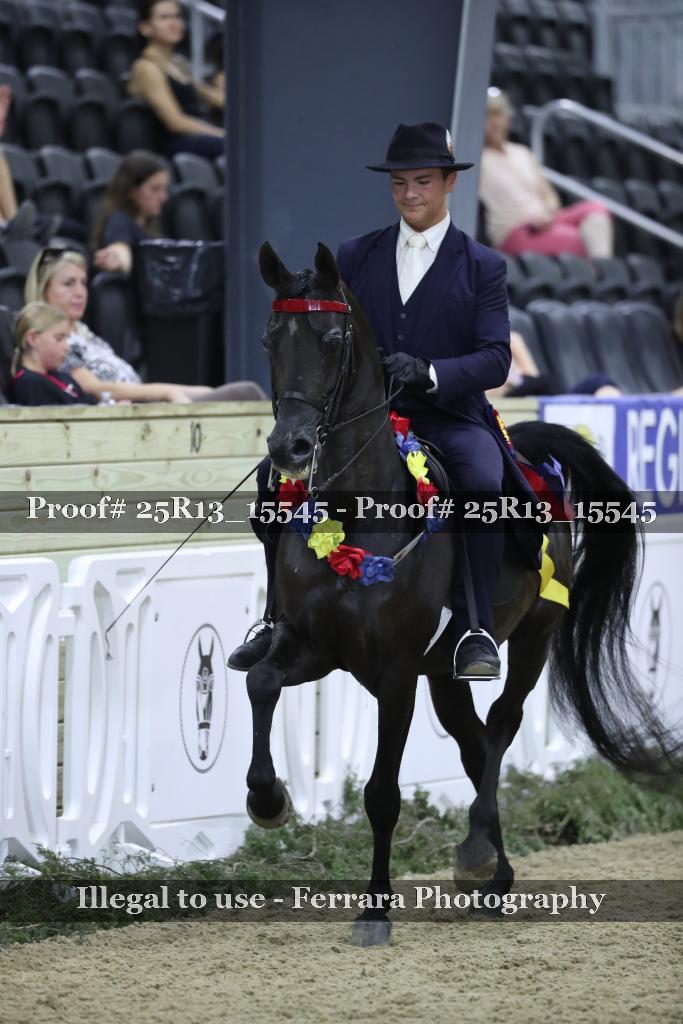 Proof 25R13_15545