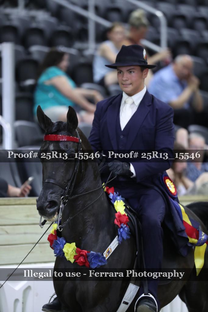 Proof 25R13_15546