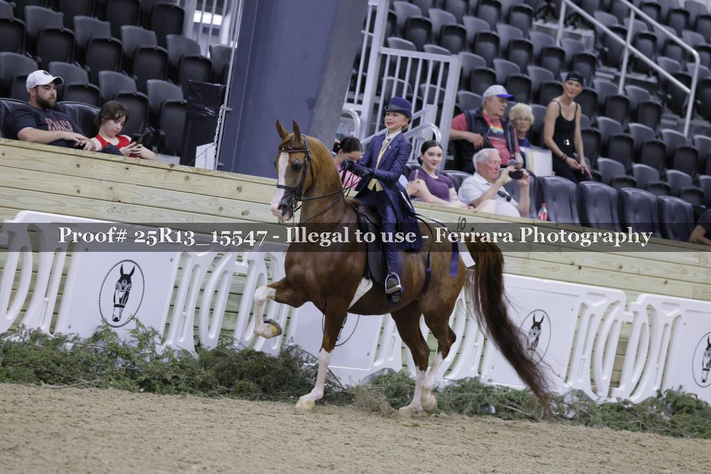 Proof 25R13_15547