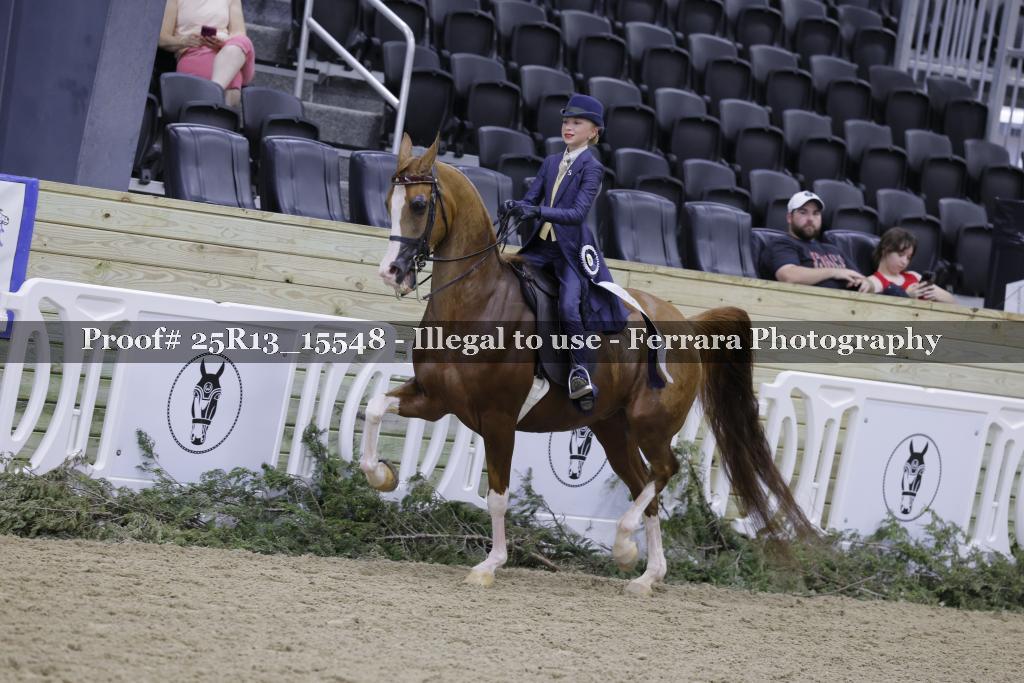 Proof 25R13_15548