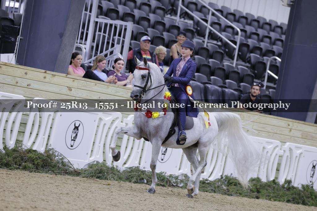 Proof 25R13_15551
