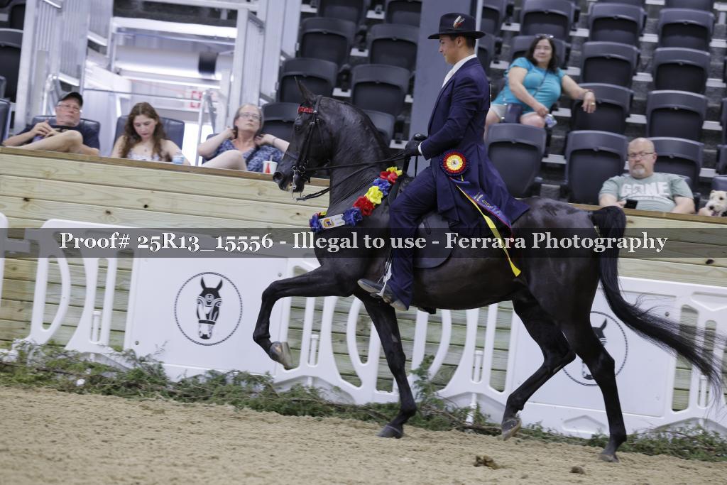 Proof 25R13_15556