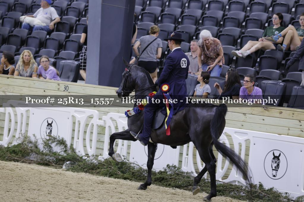Proof 25R13_15557