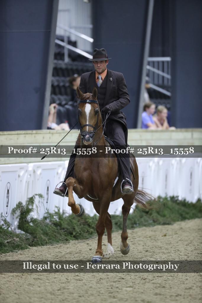 Proof 25R13_15558