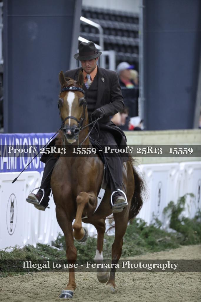 Proof 25R13_15559