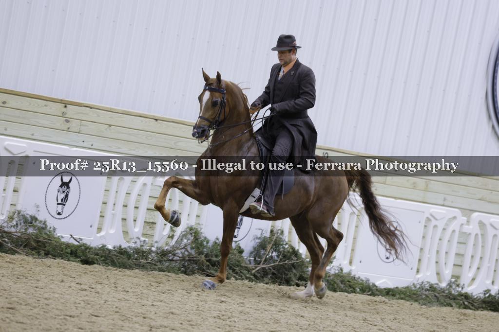 Proof 25R13_15560