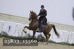 25R13_15560 proof